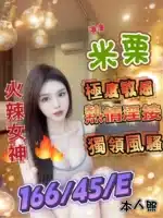 台中定點茶-米栗/166/45/?/E