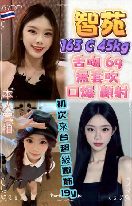 新北定點茶-智苑/163/45/19/C