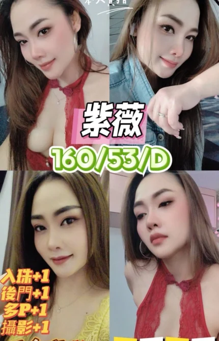 台中定點茶-紫薇/160/53/23/D