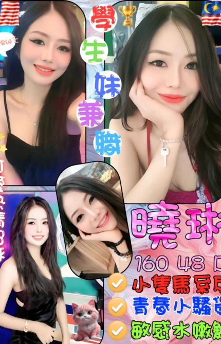 台中定點茶-曉琳/160/48/20/B