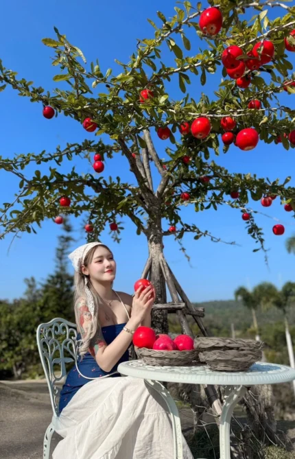 台北定點茶-美人魚/161/42/23/C