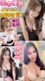 台東定點茶-三下優雅/170/49/25/E