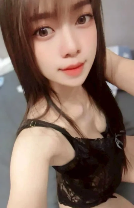 台北定點茶-藍莓/155/45/23/D