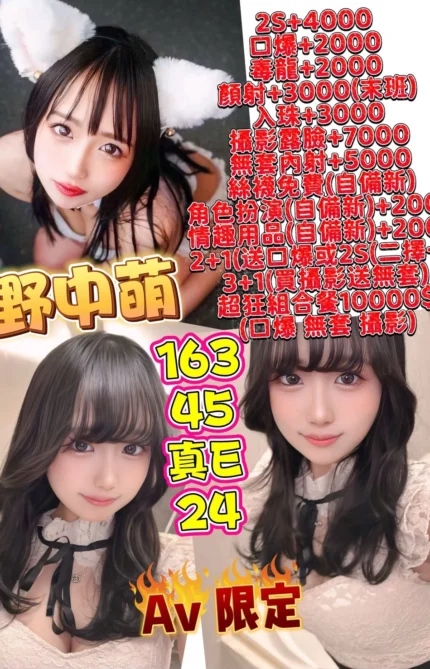 台中外送茶-野中萌/163/45/24/E