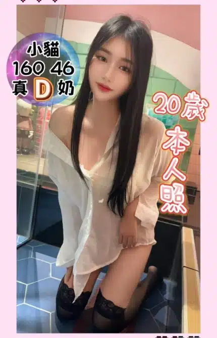 台中定點茶-小貓/160/46/20/D