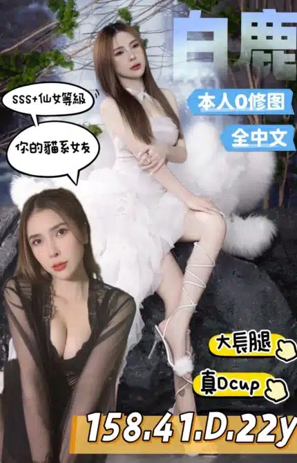 台南定點茶-白鹿/158/41/22/D