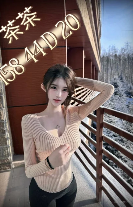 台中外送茶-茶茶/158/44/20/D