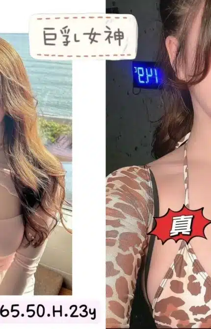 台北外送茶-一月/165/50/23/H