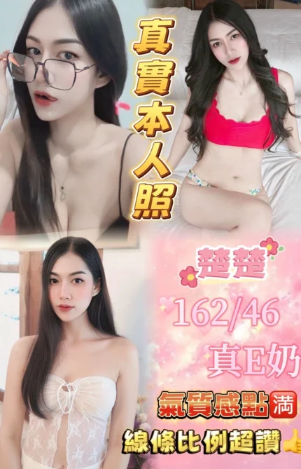 新北定點茶-楚楚/162/46/24/E