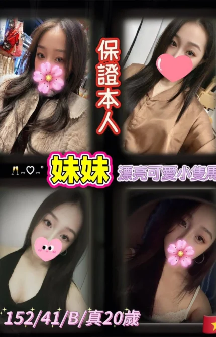 台北定點茶-妹妹/152/41/20/B