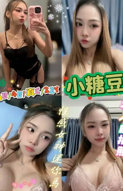 新北定點茶-小糖豆/148/40/22/C