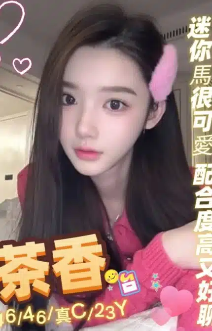 新北定點茶-茶香/156/46/23/C