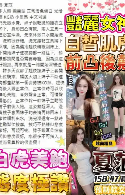 台中定點茶-夏范/158/47/?/D