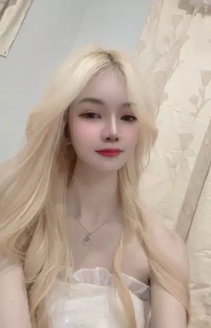 新竹定點茶-昭寶/153/38/19/B