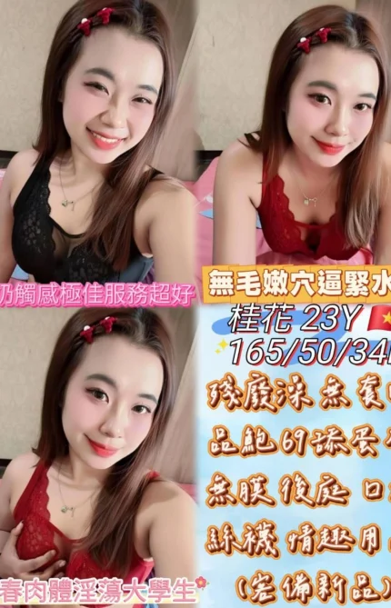 雲林定點茶-桂花/165/50/23/D