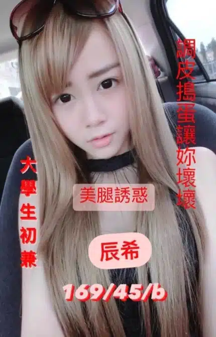 台中外送茶-辰希/169/45/20/B