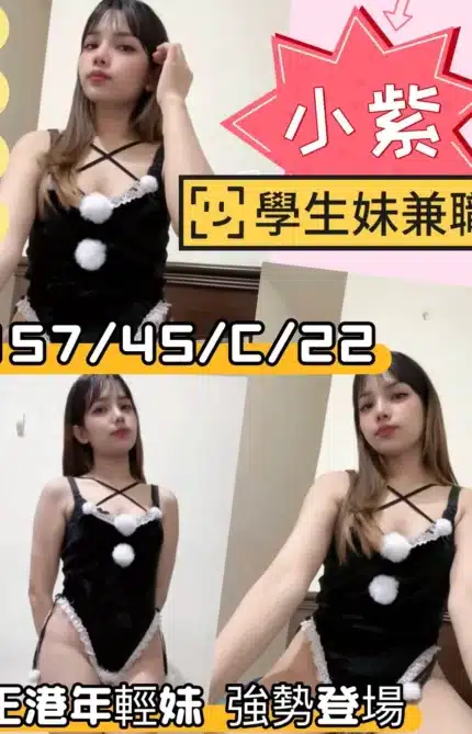 新竹定點茶-小紫/157/45/22/C