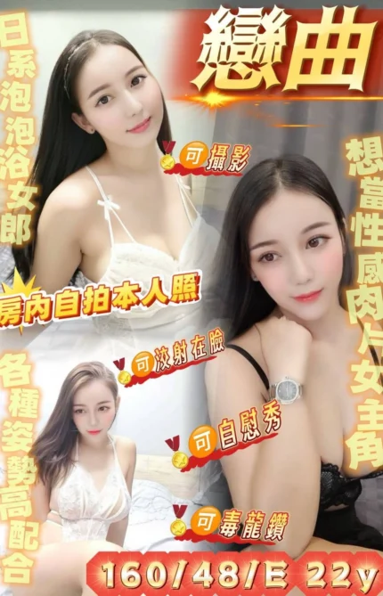 台東定點茶-戀曲/160/48/22/E