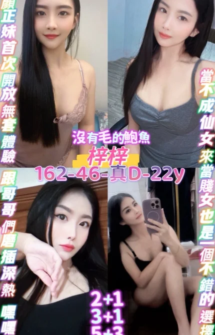 桃園定點茶-梓梓/162/46/22/D