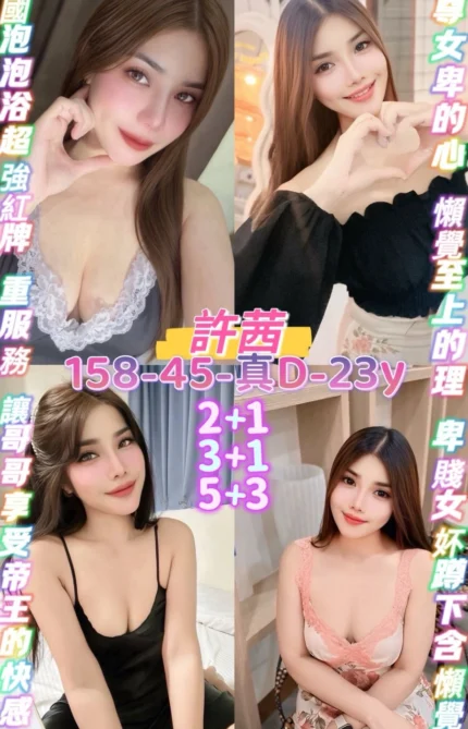 桃園定點茶-許茜/158/45/23/D