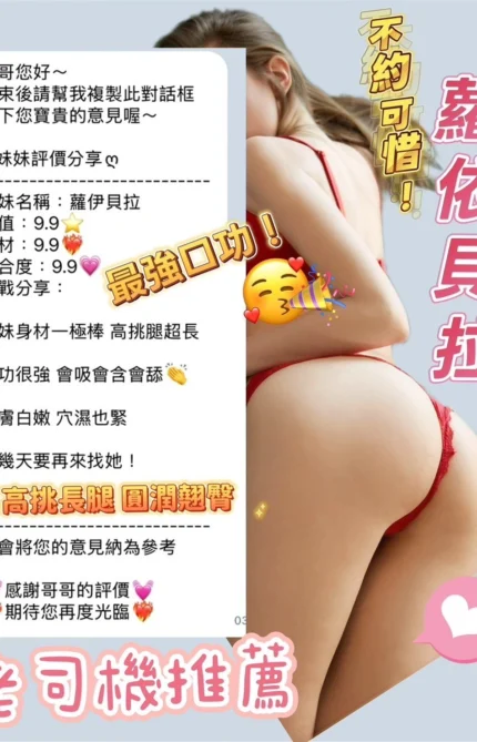 桃園定點茶-蘿伊貝拉/177/50/20/D