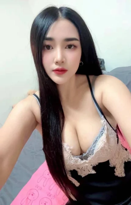 嘉義定點茶-包你發/158/47/20/D