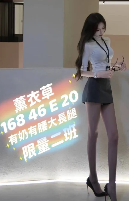 台中外送茶-薰衣草/168/46/20/E