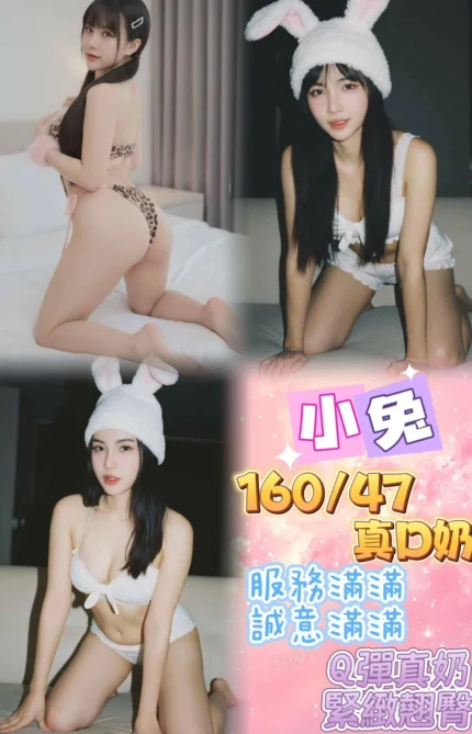 新北定點茶-小兔/160/47/24/D