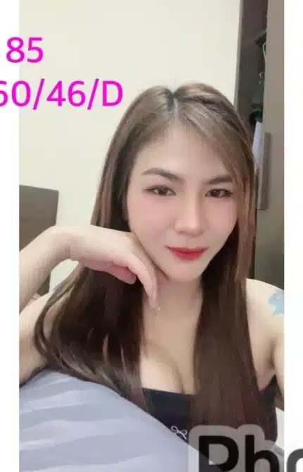 嘉義定點茶-T85/160/46/?/D