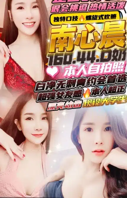 新竹定點茶-南心晨/160/44/?/D