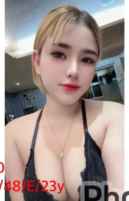 嘉義定點茶-T80/160/48/23/E