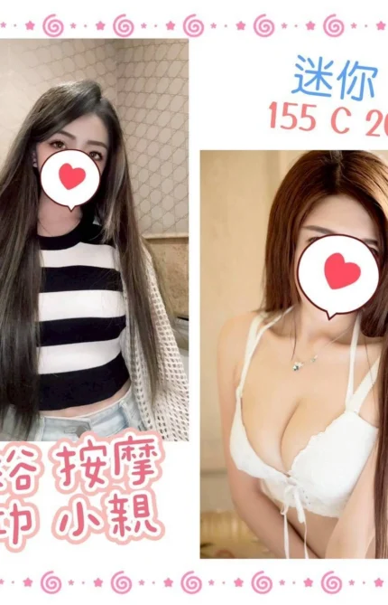 台北定點茶-迷你/155/?/20/C