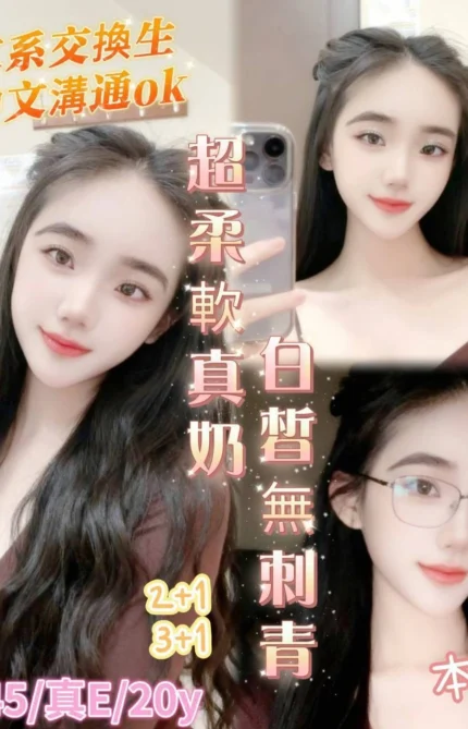 台南定點茶-金恩妃/160/45/20/E