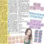 台北定點茶-亮亮/163/48/25/F