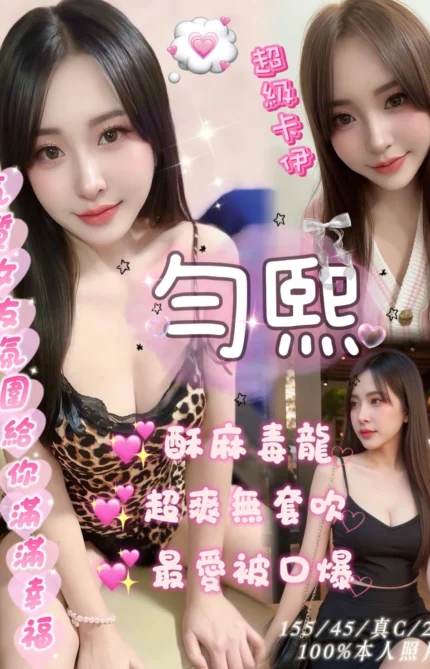 嘉義定點茶-勻熙/155/45/22/C