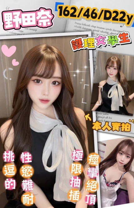 台南外送茶-野田奈/162/46/22/D