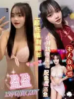 新北定點茶-盈盈/158/47/20/C