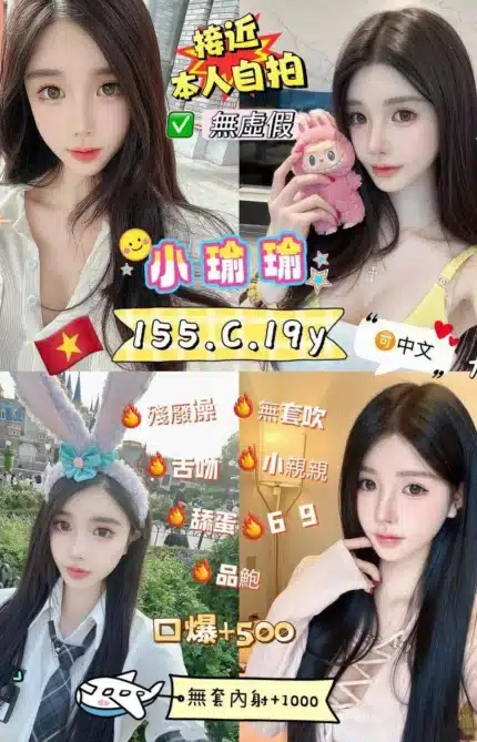 新北定點茶-小瑜瑜/155/42/19/C