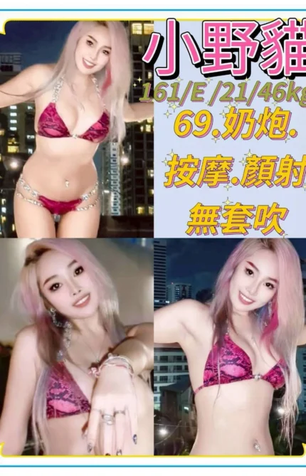 台北定點茶-小野貓/161/46/21/E