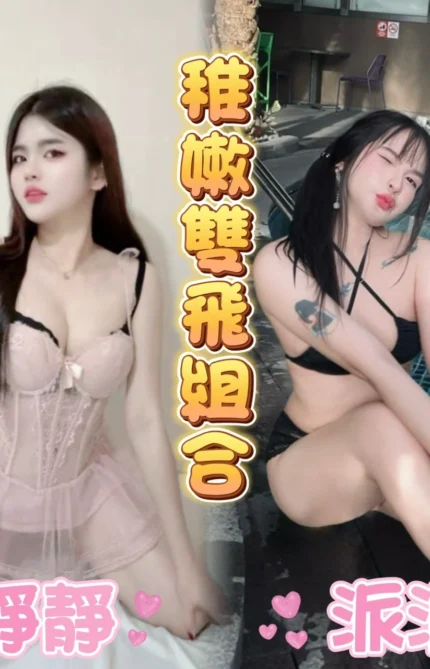 雲林定點茶-派派/156/48/21/D