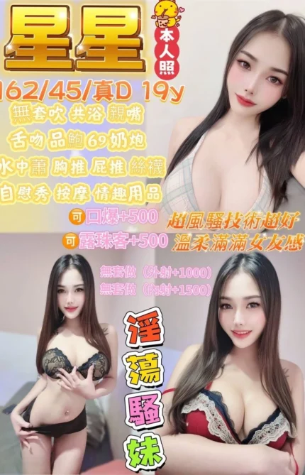 宜蘭定點茶-星星/162/45/19/D