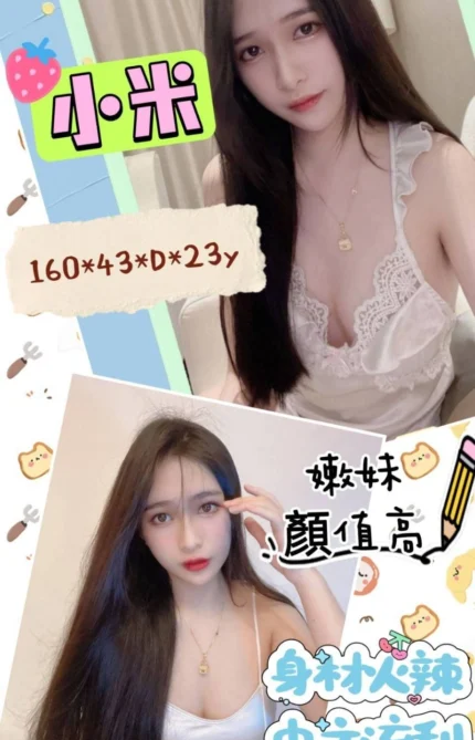 雲林定點茶-小米/160/43/23/D