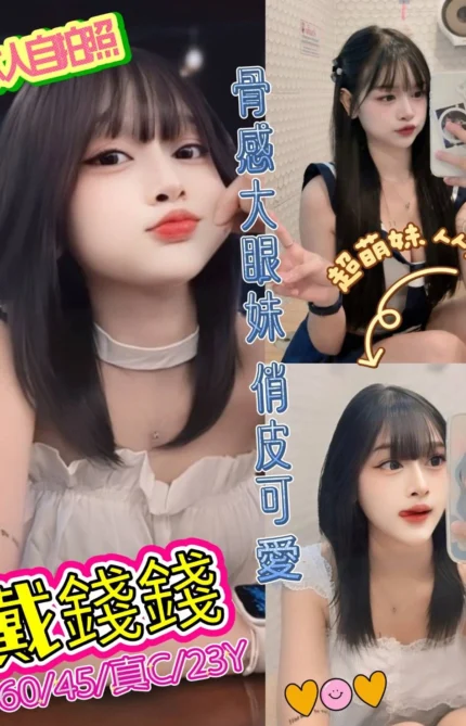 新北定點茶-戴錢錢/160/45/23/C