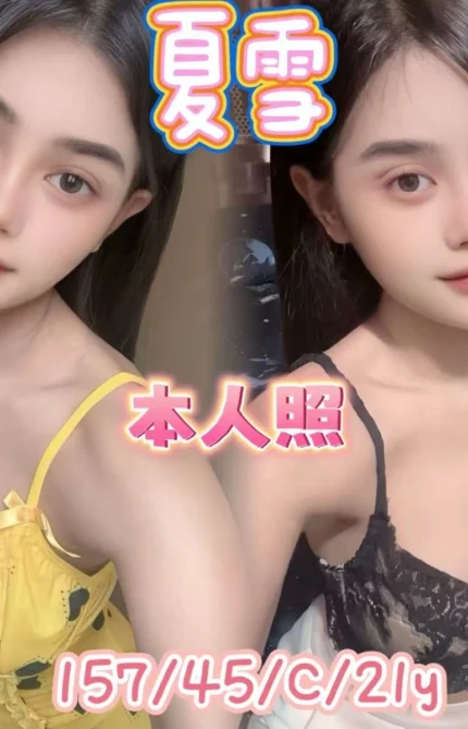 新北定點茶-夏雪/157/45/21/C