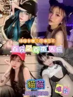 台北定點茶-貓貓/160/42/22/D
