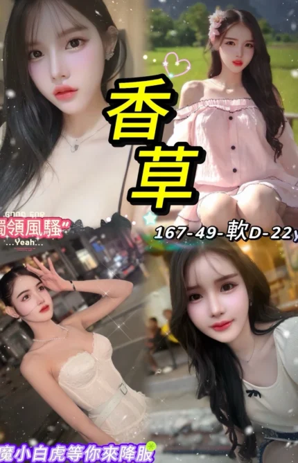 台北定點茶-香草/167/49/22/D