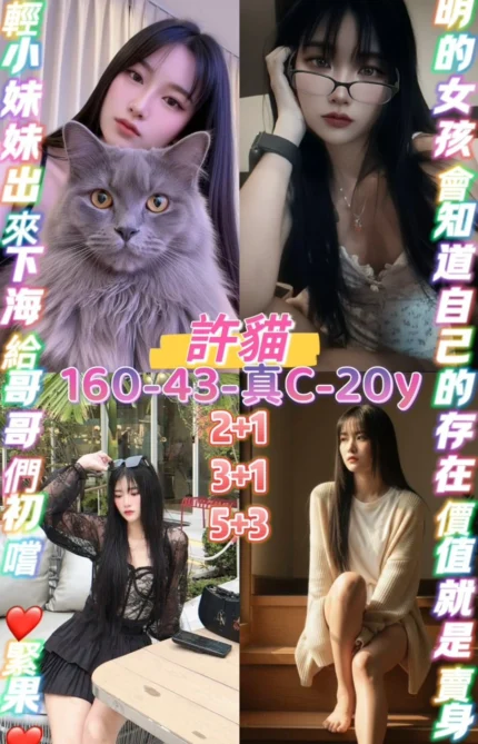 桃園定點茶-許貓/160/43/20/C