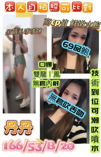 桃園定點茶-丹丹/166/53/20/B