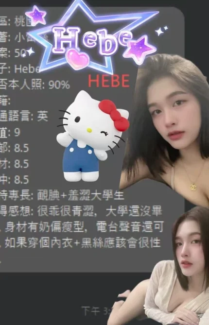 桃園定點茶-HEBE/165/46/19/D