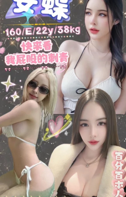 台北定點茶-安蝶/160/38/22/E